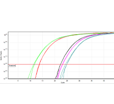 How to improve the sensitivity of RT-PCR reaction system